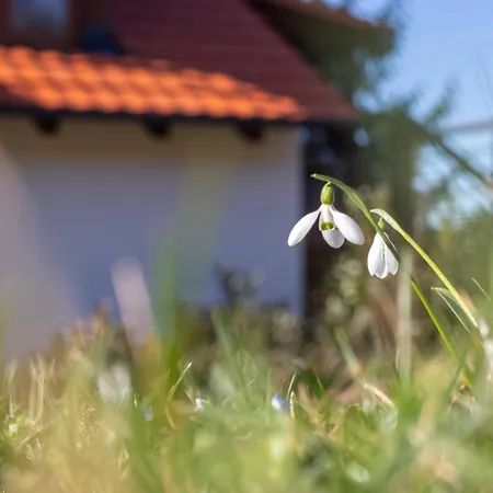 Pod Vojtechem - Soukromy Wellness