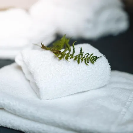 Pod Vojtechem - Soukromy Wellness בית נופש