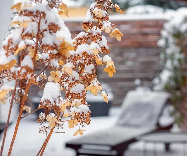 Holiday home Pod Vojtechem - Soukromy Wellness *