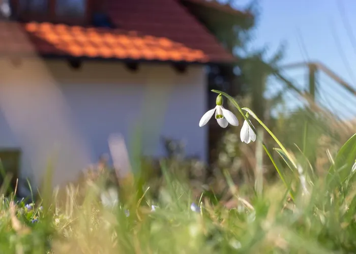 Pod Vojtechem - Soukromy Wellness