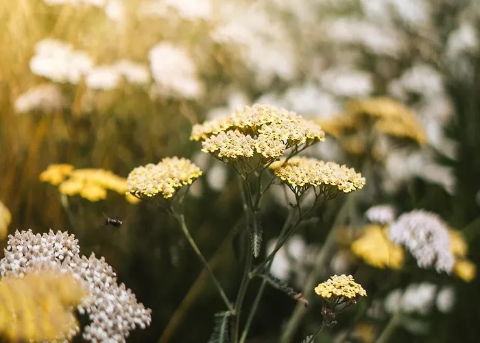 Holiday home Pod Vojtechem - Soukromy Wellness Votice